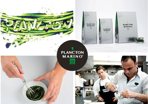 Plancton Marino Alimentación Humana