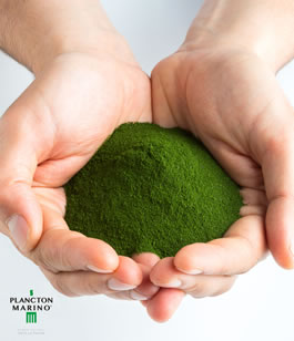 Plancton Marino - Manos